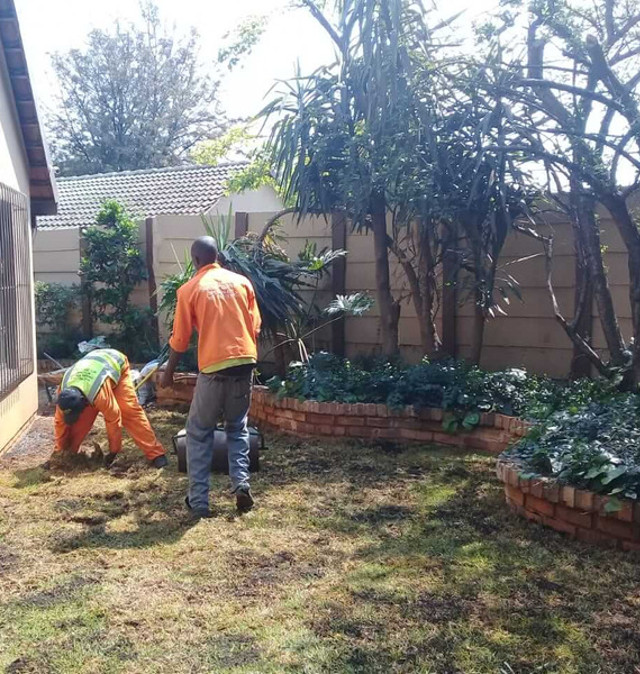 Garden cleaning